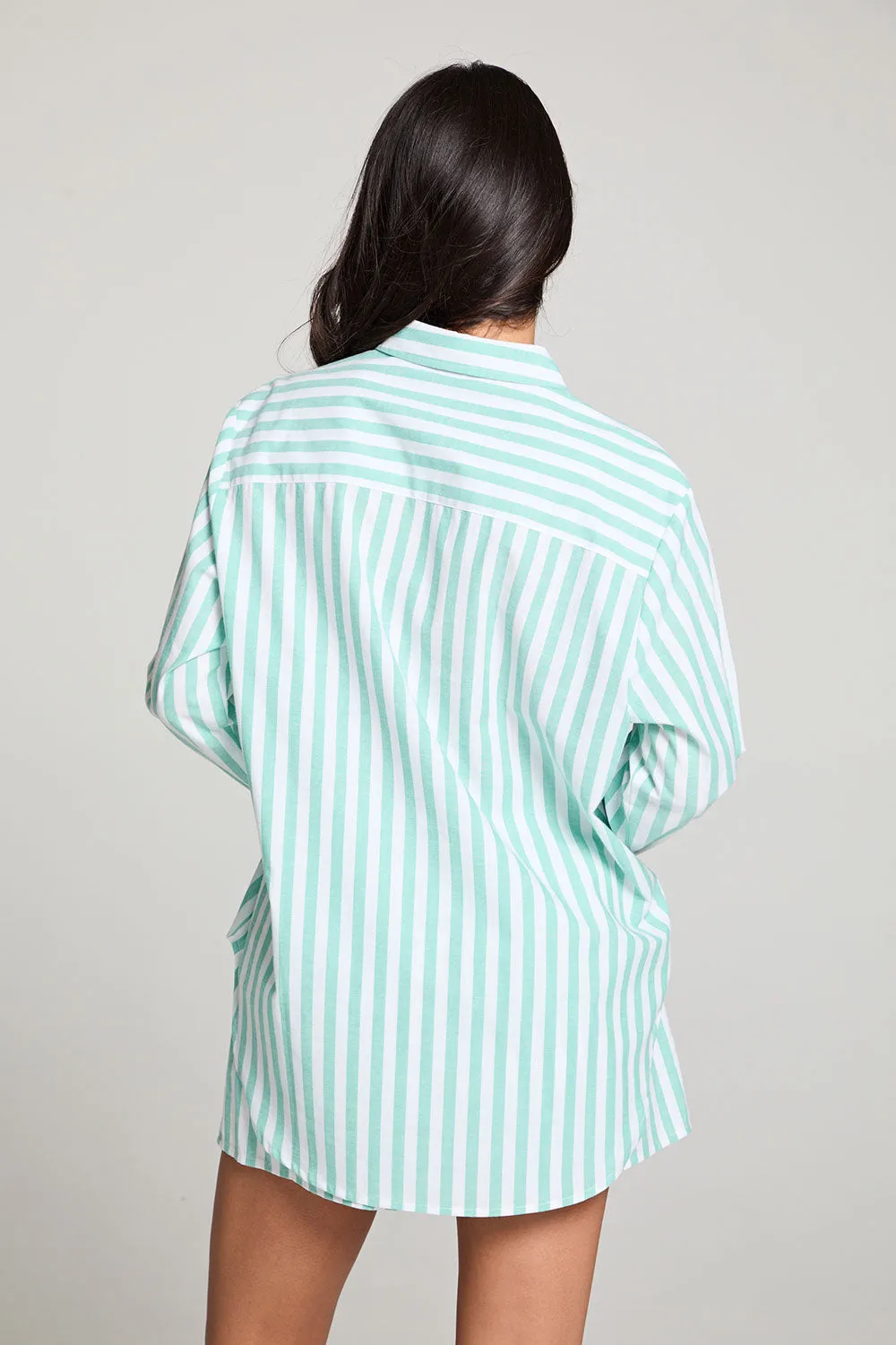 Paso Aloe Stripe Button Up