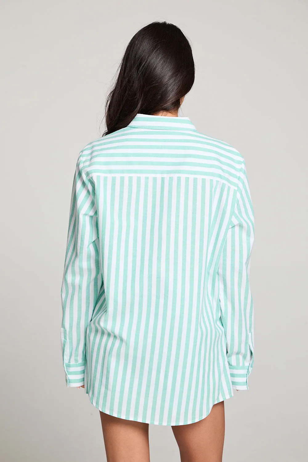 Paso Aloe Stripe Button Up