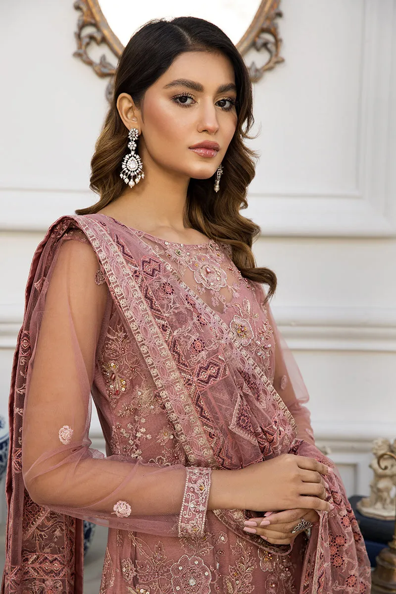 Pink Pakistani Embroidery Dress with Long Kameez #PF487
