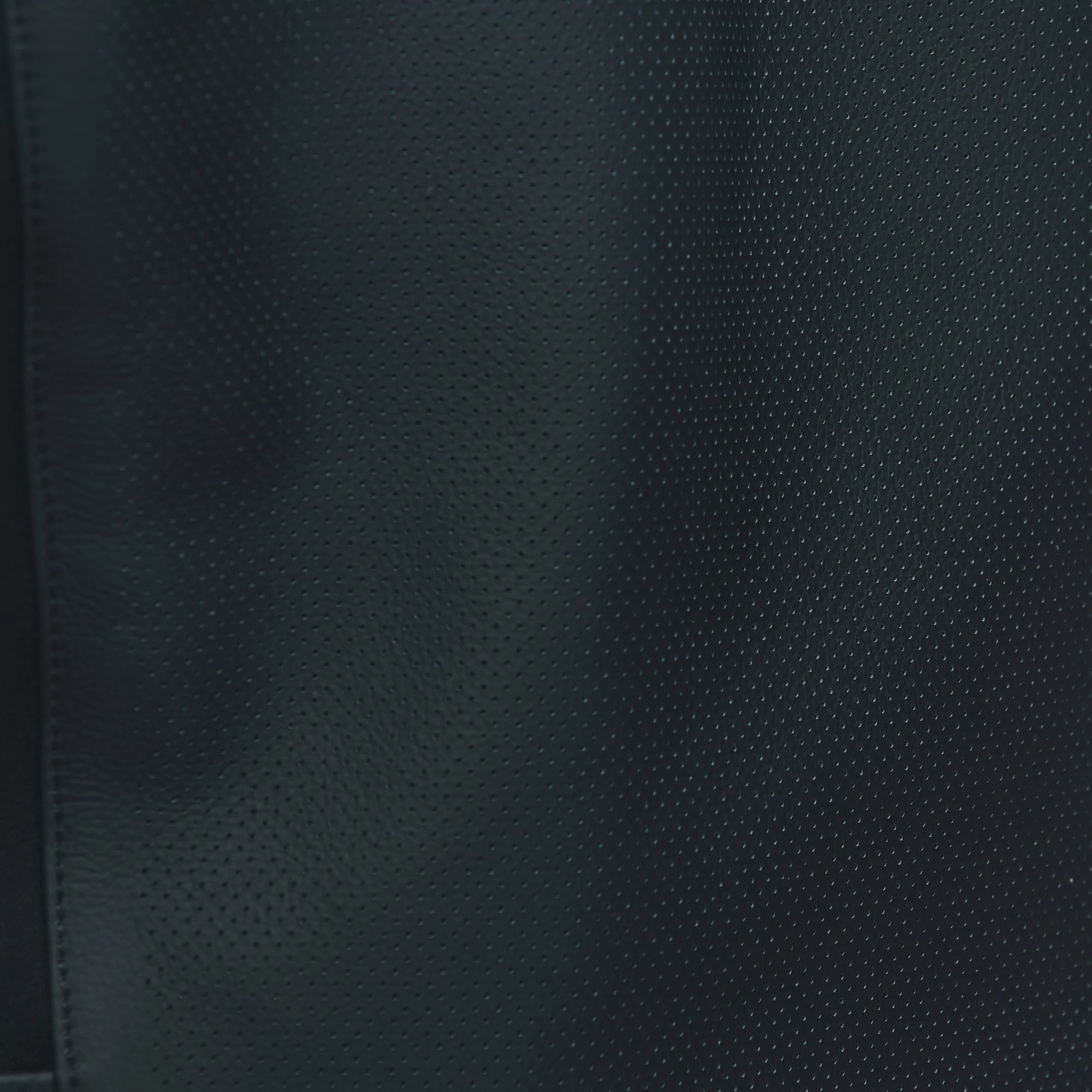 Sportiva Perforated Leather Jacket