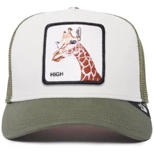V2 High