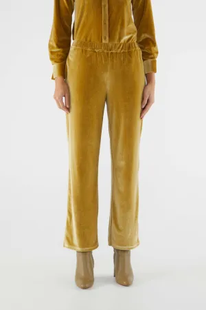 Velvet Stretch Pants - Gold